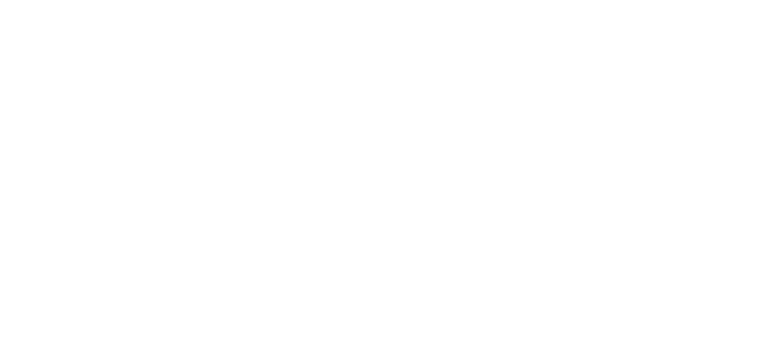 Flexson